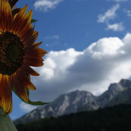 דירה Chaletwohnung Lederer *