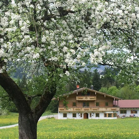 Chaletwohnung Lederer Ebbs