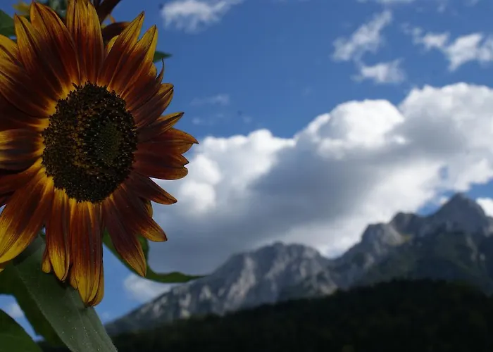아파트 Chaletwohnung Lederer *